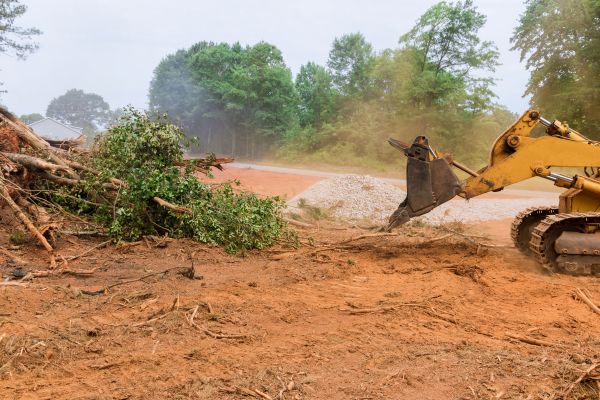 Cost of Forestry Mulching Service in Kaysville
