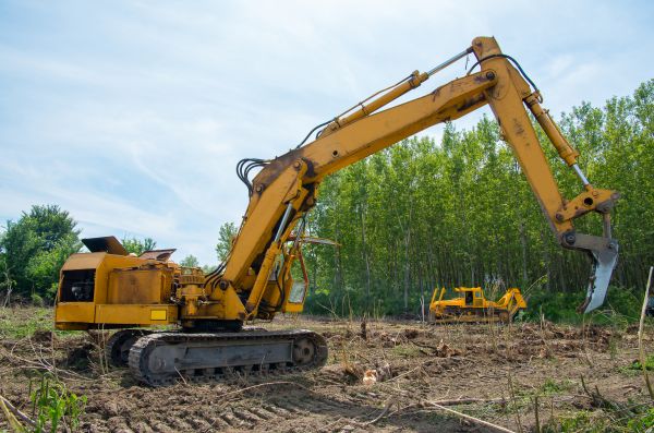 Farm Clearing in Kaysville