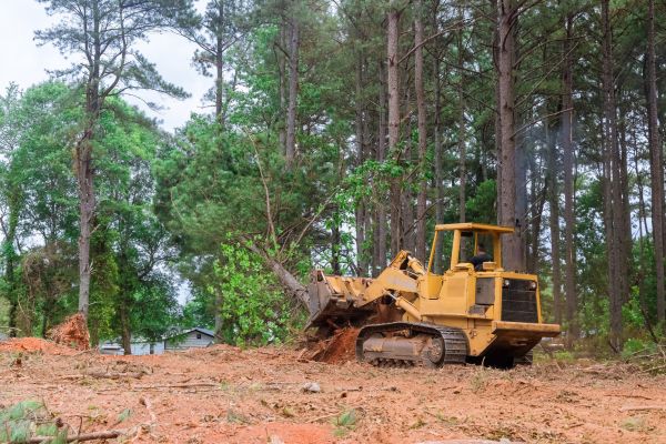 Cost of Property Clearing in Kaysville