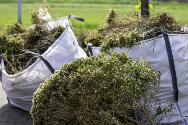 Cost of Bushes Clearing in Kaysville
