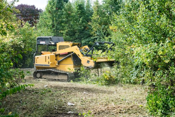 Cost of Pathway Clearing in Kaysville