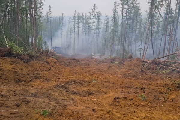 Cost of Hill Clearing in Kaysville