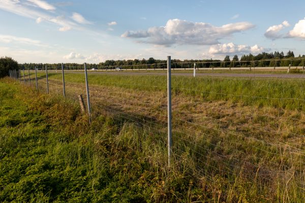 Property Line Clearing in Kaysville