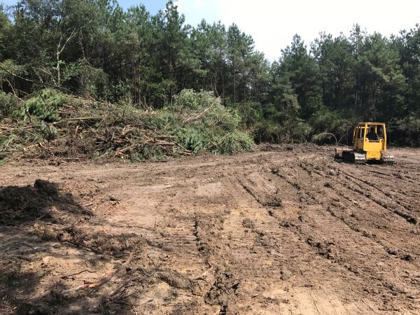 Thicket Clearing in Kaysville