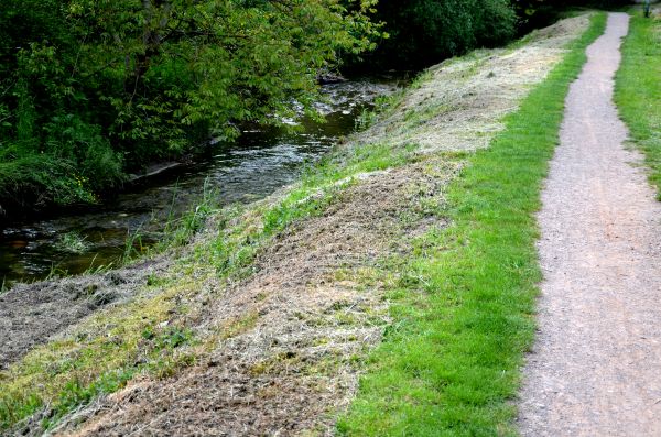 Trail Cutting in Kaysville